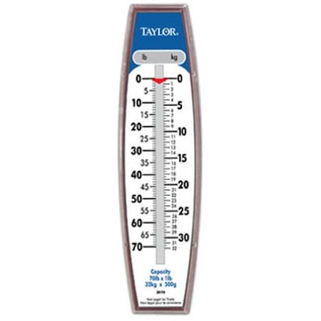 Taylor Taylor 30704104 Industrial Hanging Scale; 27 lbs. 122345